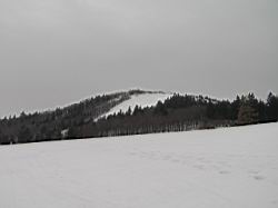 Resize of P3255357.JPG